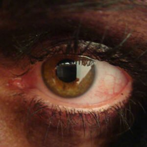 Fotografía 2010-1