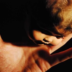 Fotografía 2009-2