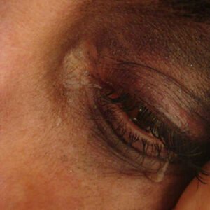 Fotografía 2010-5