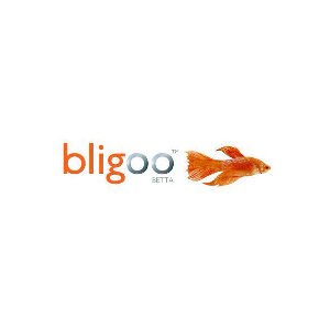 Bligoo